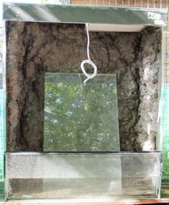 Hochterrarium aus Glas mit eigenbau Innenraum und Heatpanel HxBxT: 120x100x50