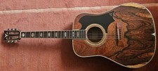 Gitarre Yairi YW800G
