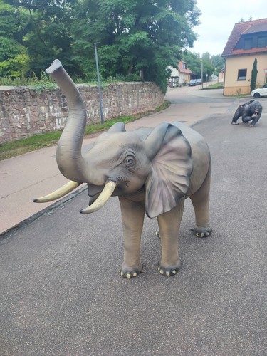 Xxl elefant kind baby - elefant,