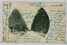 DANZIG  Grosse Allee c1899