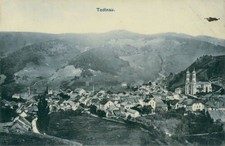 Ansichtskarte Todtnau um 1900 (Nr.9208)