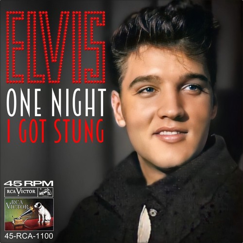 Repro photo elvis - repro, presley
