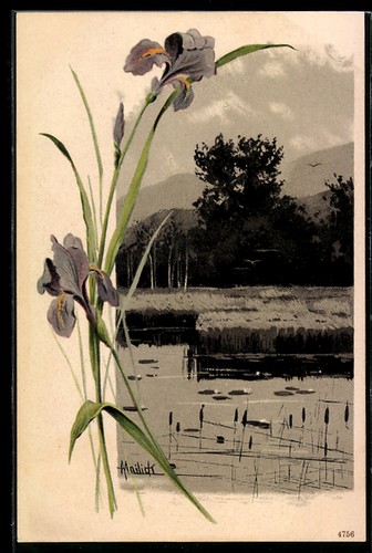 Künstler alfred mailick - künstler-ak,