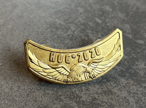 Harley davidson pin - harley,