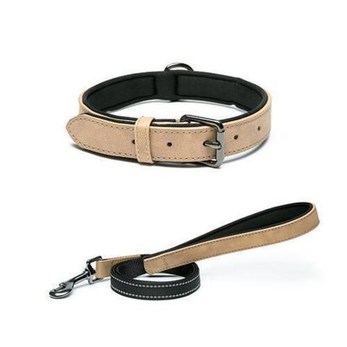 Hundehalsband und leine set - und,