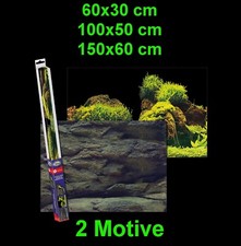 TOP Aquarium Deko 🐠