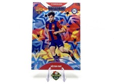 Hector Fort 25/55 -Daka