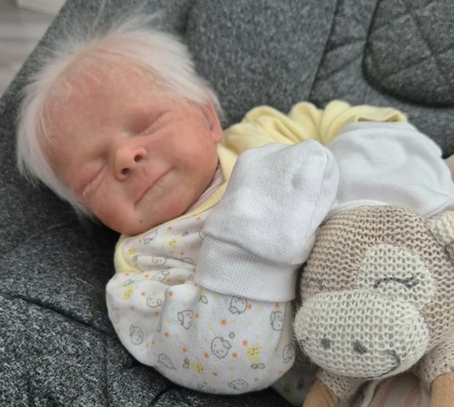 Reborn baby cuddle lillie - reborn,
