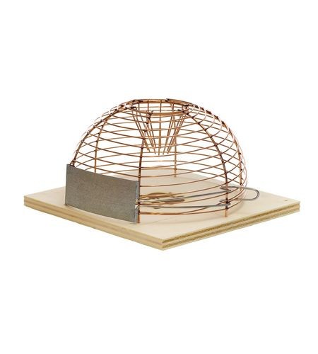 Mausefalle luna eingang - 1,