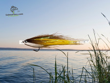 🎣 3x Baitfish Streamer "Brown-Yellow" – Salmoflies – Top für Meerforelle/Hecht