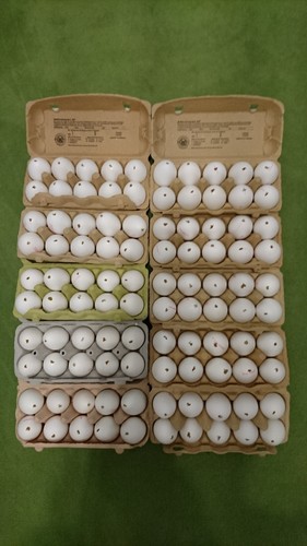 100 stück echte ausgeblasene - 100,