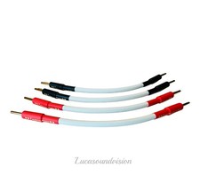 Akkord Carnival Lautsprecher