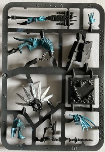 Warhammer echsenmenschen - -,