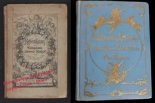 Rebenkranz zu Waldmeisters silberner Hochzeit (1881)  - Roquette, Otto