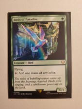 Magic TCG MTG - Birds of
