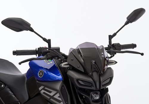 Ermax naked bike - ermax, naked-bike-scheibe