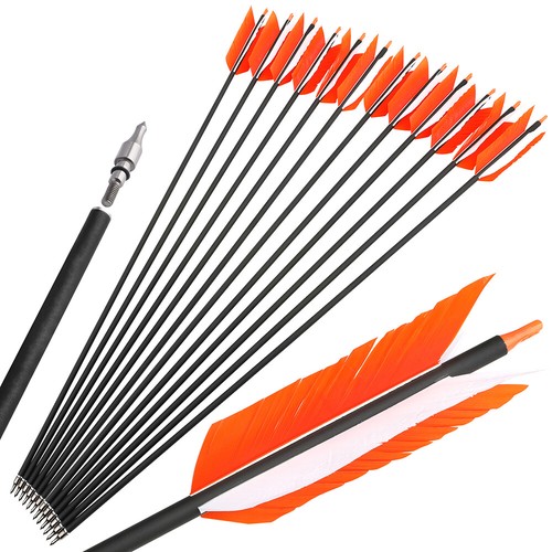 12pcs carbonpfeile sp500 - 12pcs,