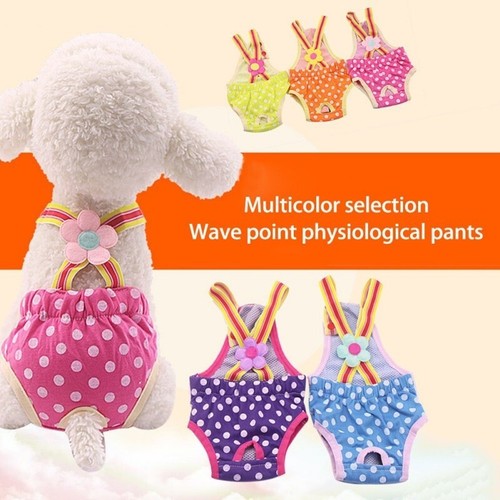 Hundeshorts hundepullover - hundeshorts,