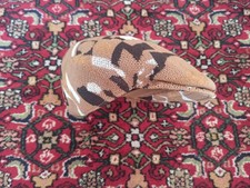 Kangol Cap Mütze Braun Gr. S NEU