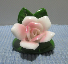 Rose Rosenblüte Miniatur