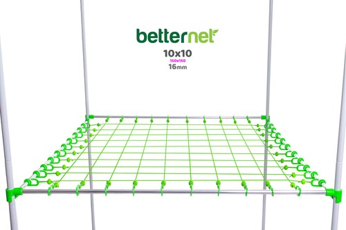 Betternet 10x10 150x150 - -,