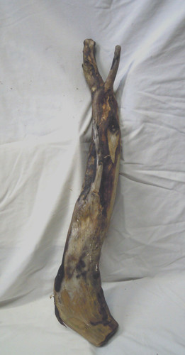 66cm flammbiert stab ast - flammbiert,