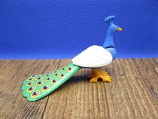 Pfau Tiere Tierpark ZOO Magic