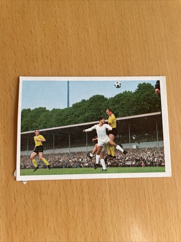 Bergmann 1967 20 paul - ,