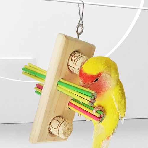 Papagei kauspielzeug conure - papagei,