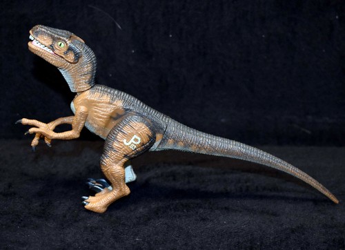 Velociraptor jurassic park - velociraptor,
