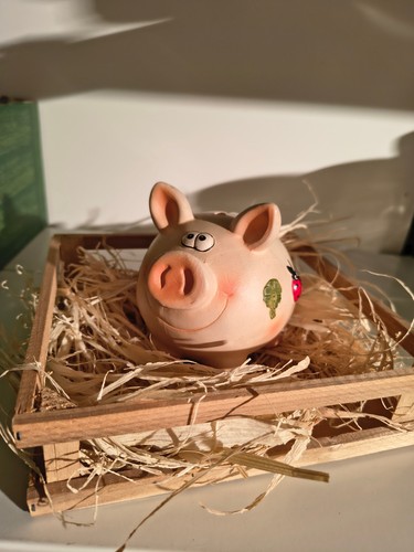 Sparschwein stall spardose - sparschwein,