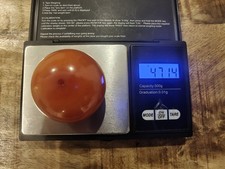 Bakelit Kugel XXL Perle Kugel 47 Gramm !!! 