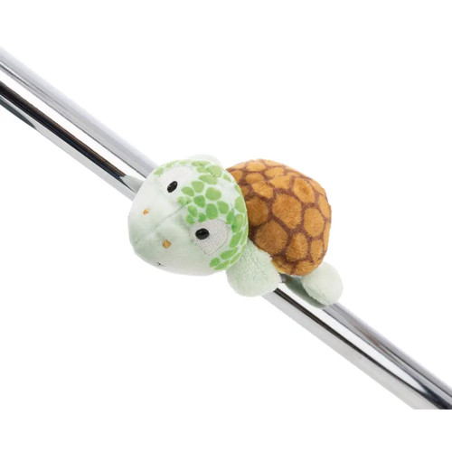 Magnici schildkröte nici - magnici,