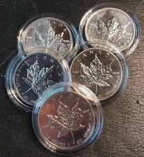 🔥LOT 5 KANADA MAPLE LEAF 1