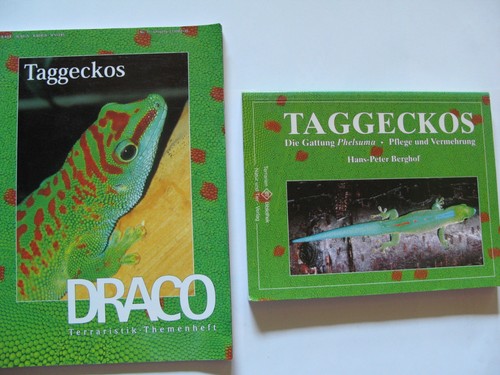 Taggeckos die gattung - taggeckos-,