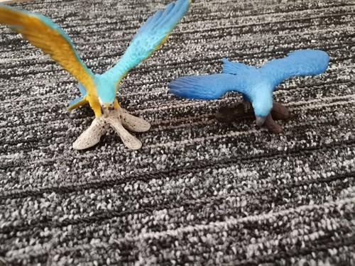 Schleich tiere - schleich, tiere schleich