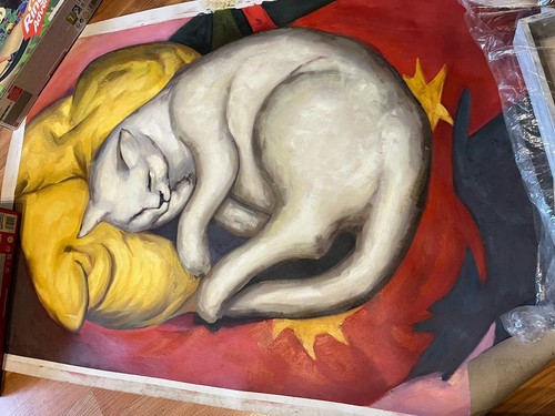 Bild schlafende katze - schlafende,