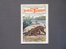 Die schönsten Schilderungen aus Brehms Tierleben 25, Schildkrötengeschichten