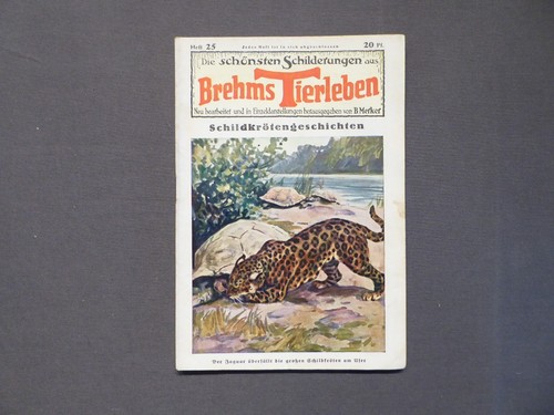 Die schönsten schilderungen - die,