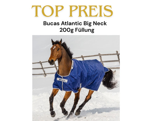 Bucas atlantic big - atlantic, medium