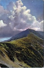 White Border Postcard