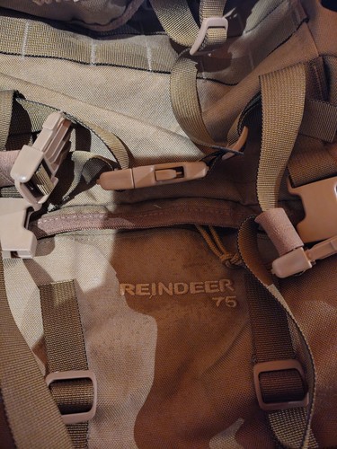 Wisport reindeer - wisport,
