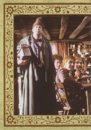 Harry potter evolution - potter,