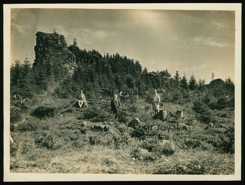 Schierke 1929 - ,