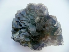 Große Stufe Fluorit xx