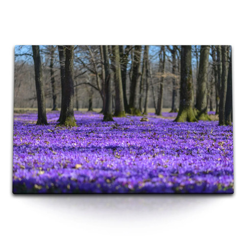 120x80cm wandbild auf - auf, leinwand