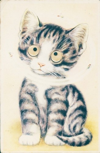 Wackelaugen kleine katze - ak,