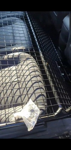 Hundegitter trenngitter ford - hundegitter,