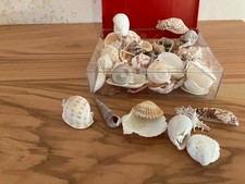 Maritime Streudeko Tischdeko