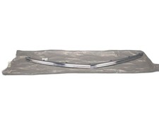 Zierleiste chrom kühlergrill - zierleiste,